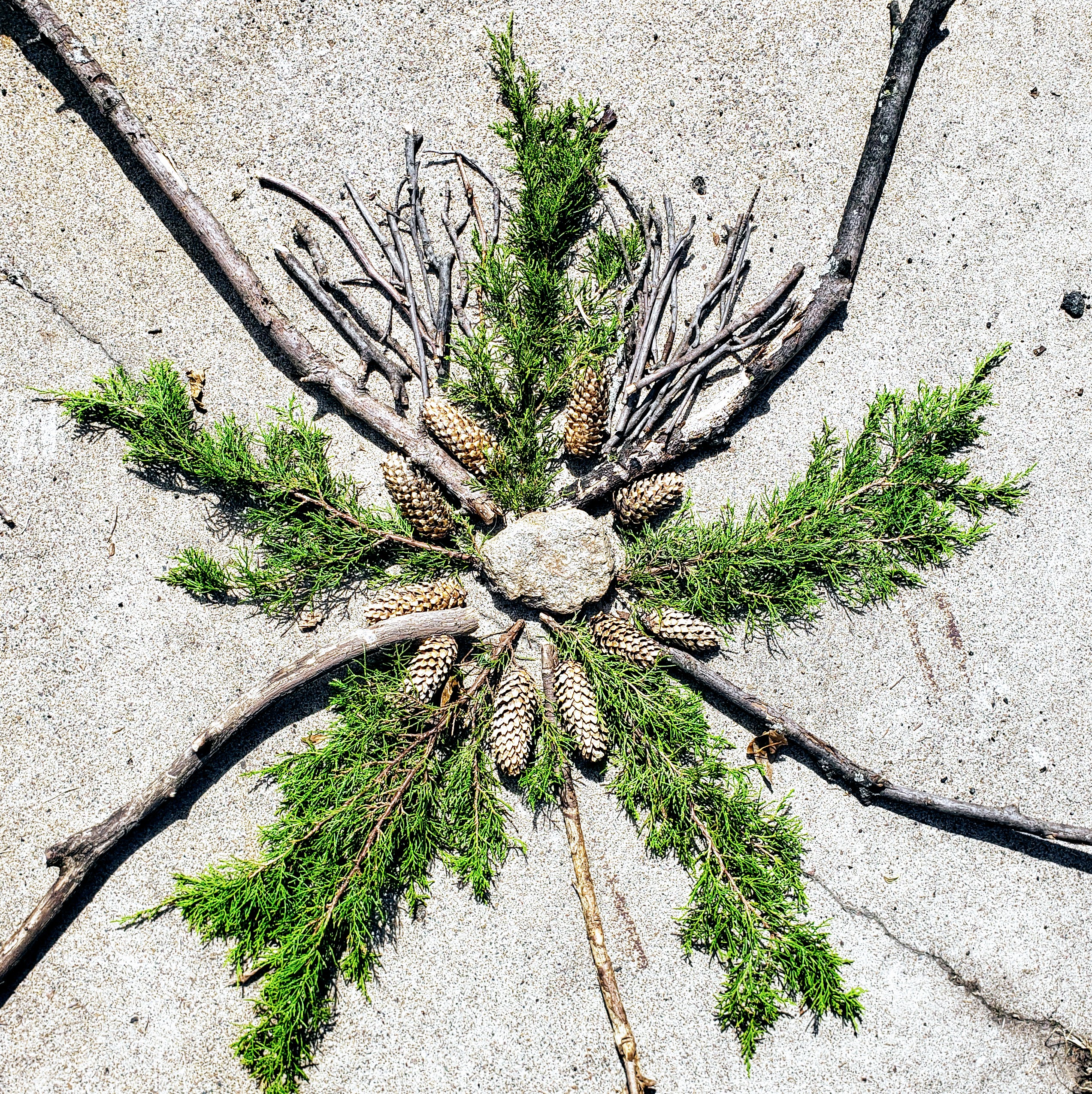 Tree Mandala